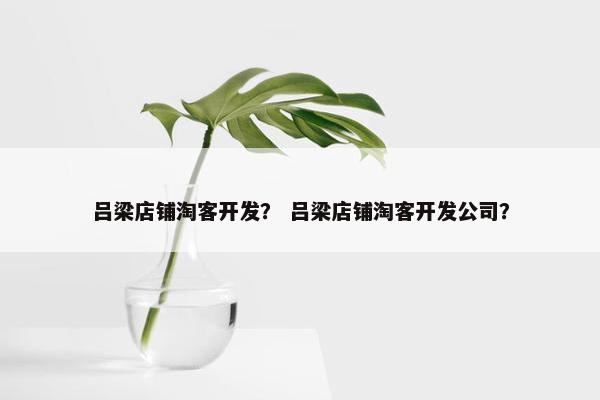 吕梁店铺淘客开发？ 吕梁店铺淘客开发公司？