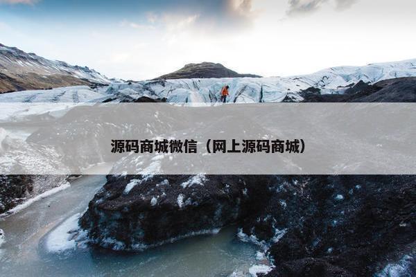 源码商城微信（网上源码商城）