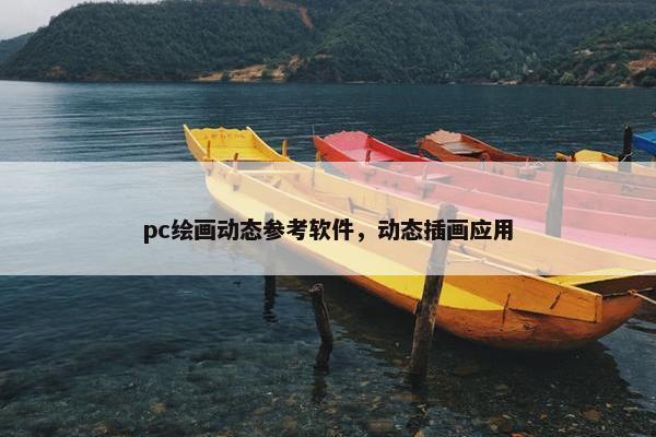 pc绘画动态参考软件，动态插画应用