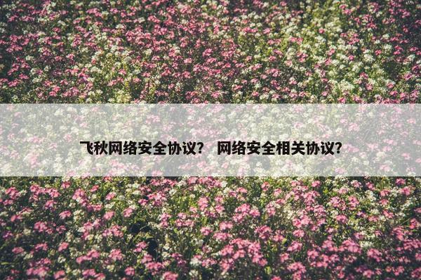 飞秋网络安全协议？ 网络安全相关协议？