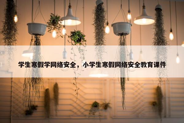 学生寒假学网络安全，小学生寒假网络安全教育课件