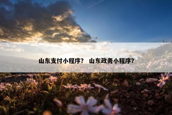 山东支付小程序？ 山东政务小程序？