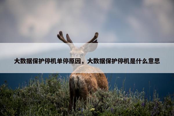 大数据保护停机单停原因，大数据保护停机是什么意思