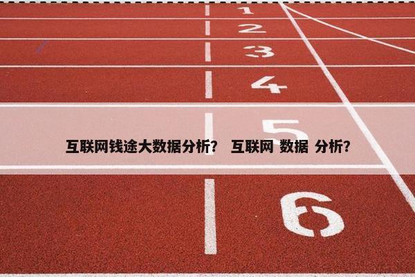 互联网钱途大数据分析？ 互联网 数据 分析？