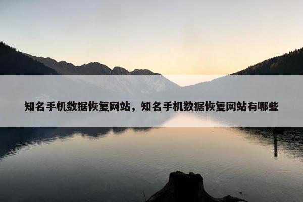 知名手机数据恢复网站，知名手机数据恢复网站有哪些
