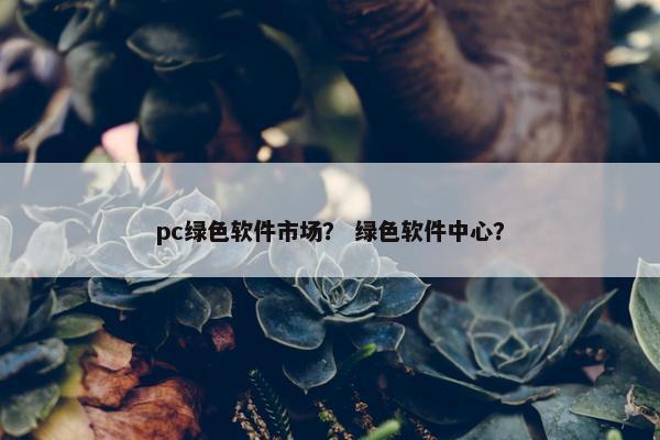 pc绿色软件市场？ 绿色软件中心？