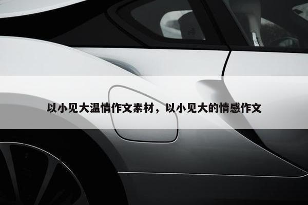 以小见大温情作文素材，以小见大的情感作文