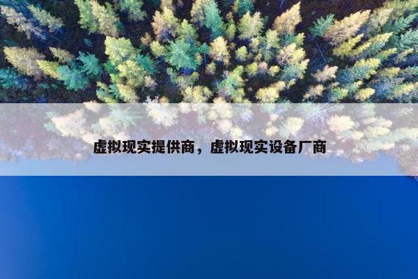 虚拟现实提供商，虚拟现实设备厂商
