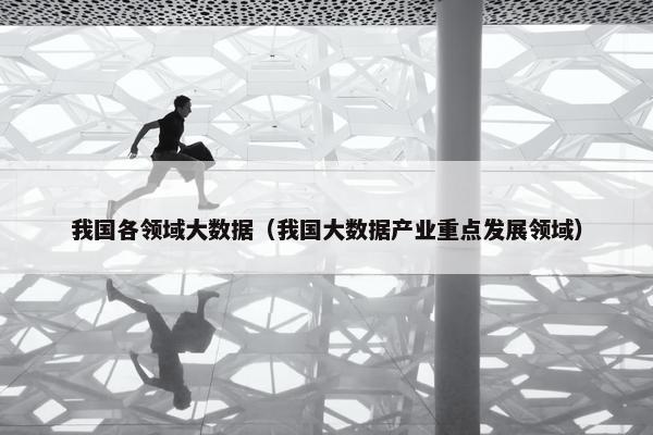 我国各领域大数据（我国大数据产业重点发展领域）
