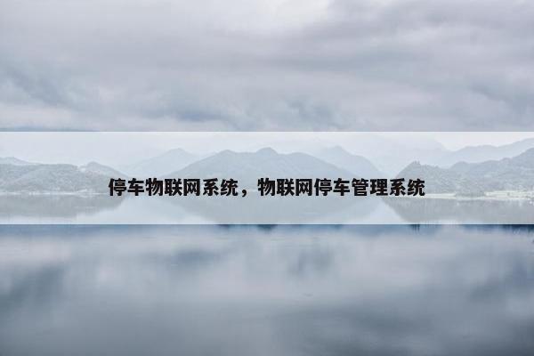 停车物联网系统，物联网停车管理系统