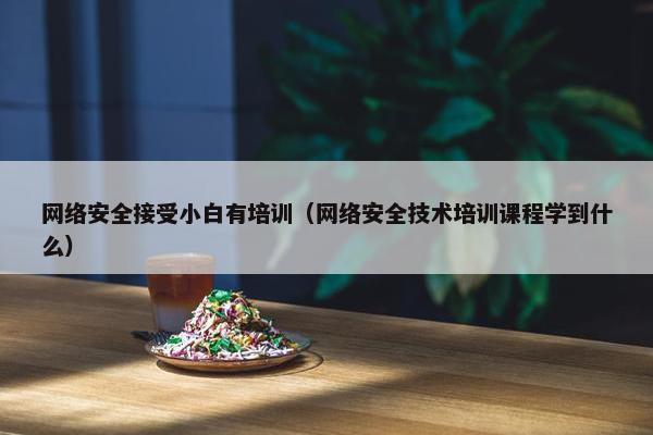 网络安全接受小白有培训（网络安全技术培训课程学到什么）