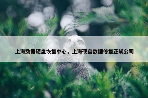 上海数据硬盘恢复中心，上海硬盘数据修复正规公司