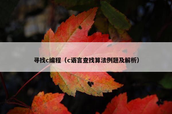 寻找c编程（c语言查找算法例题及解析）