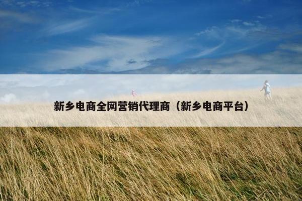 新乡电商全网营销代理商（新乡电商平台）