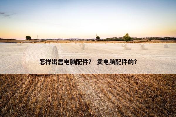 怎样出售电脑配件？ 卖电脑配件的？