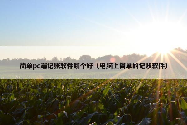 简单pc端记账软件哪个好（电脑上简单的记账软件）