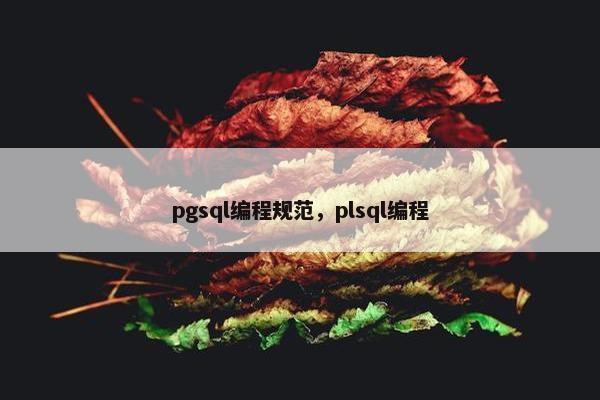 pgsql编程规范，plsql编程