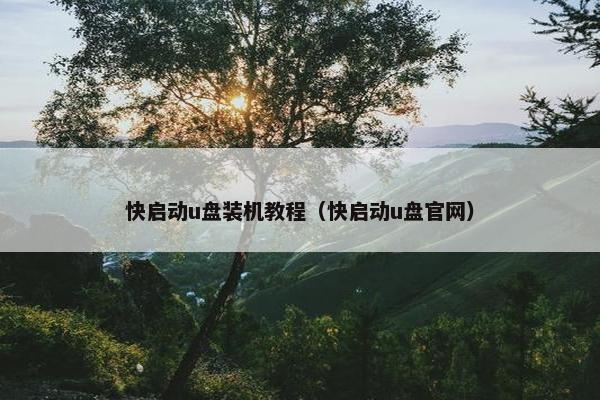 快启动u盘装机教程（快启动u盘官网）