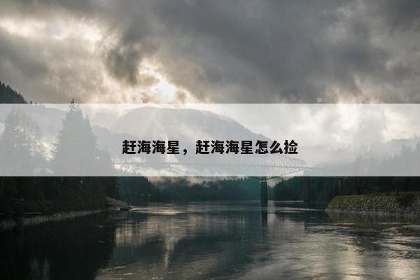 赶海海星，赶海海星怎么捡