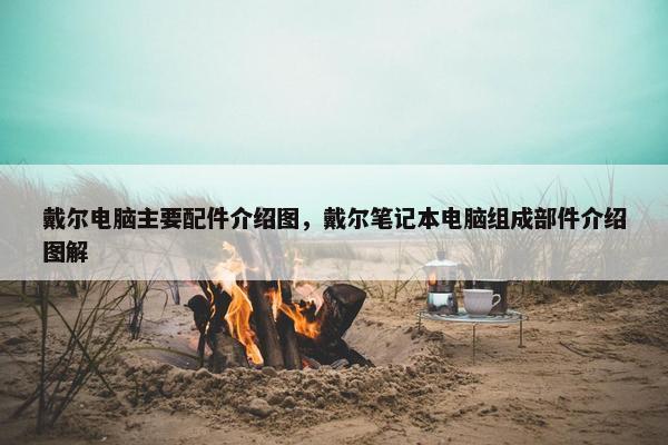 戴尔电脑主要配件介绍图，戴尔笔记本电脑组成部件介绍图解