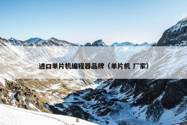 进口单片机编程器品牌（单片机 厂家）