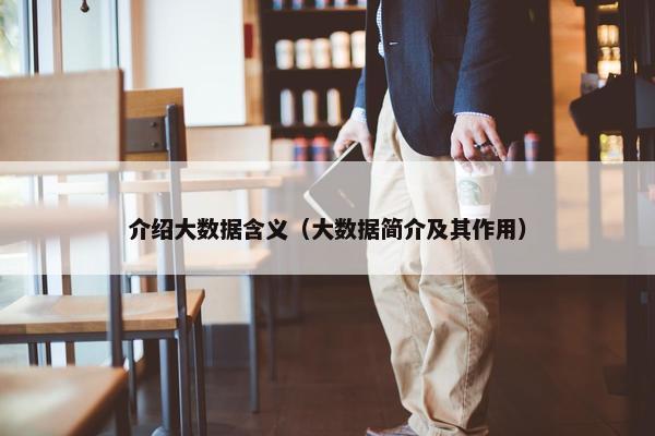 介绍大数据含义（大数据简介及其作用）