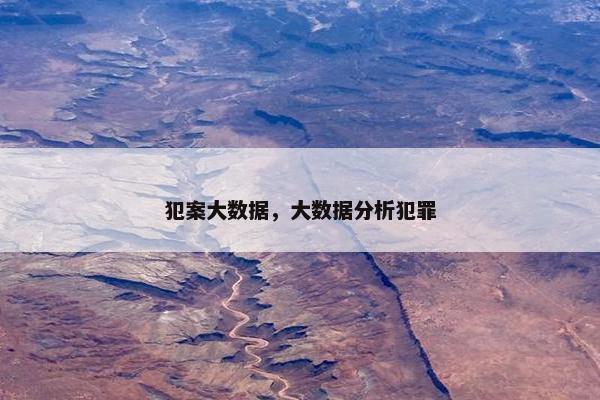 犯案大数据，大数据分析犯罪