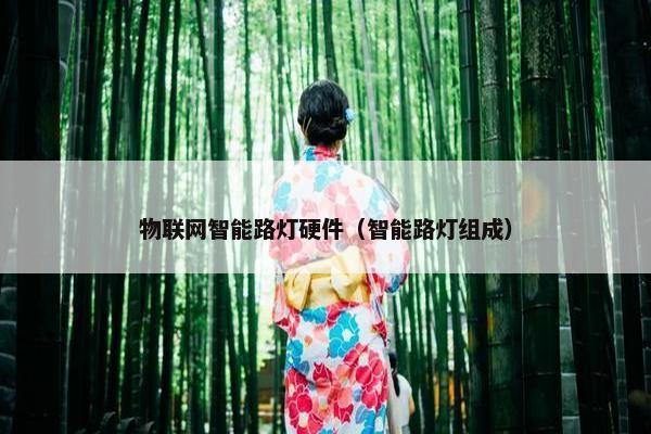 物联网智能路灯硬件（智能路灯组成）