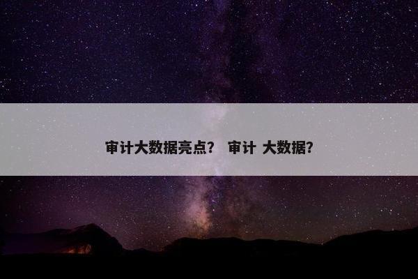 审计大数据亮点？ 审计 大数据？