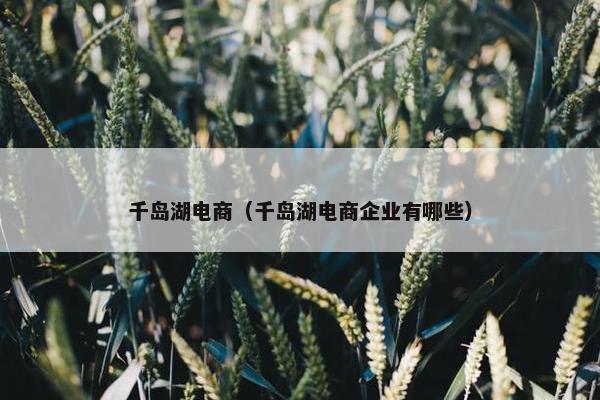 千岛湖电商（千岛湖电商企业有哪些）