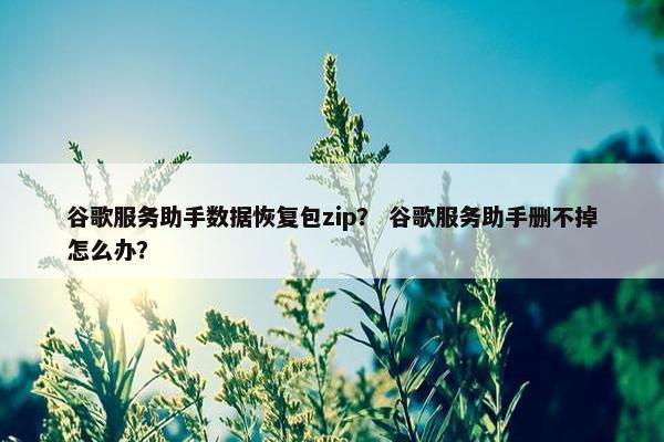 谷歌服务助手数据恢复包zip？ 谷歌服务助手删不掉怎么办？