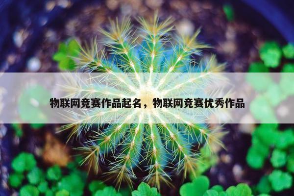 物联网竞赛作品起名，物联网竞赛优秀作品