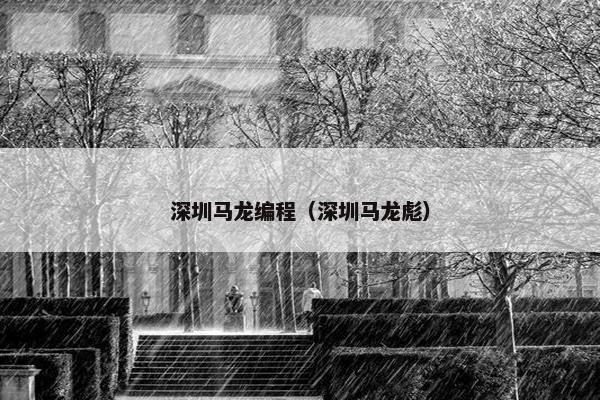 深圳马龙编程（深圳马龙彪）