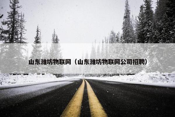山东潍坊物联网（山东潍坊物联网公司招聘）