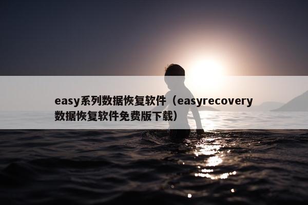 easy系列数据恢复软件（easyrecovery数据恢复软件免费版下载）