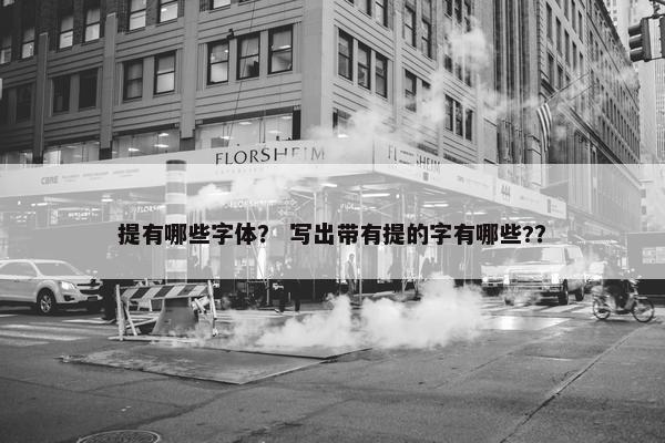 提有哪些字体？ 写出带有提的字有哪些?？