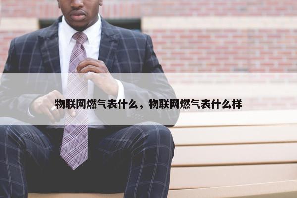 物联网燃气表什么，物联网燃气表什么样