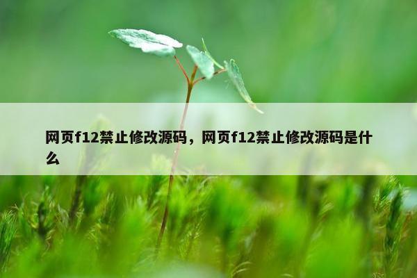 网页f12禁止修改源码，网页f12禁止修改源码是什么