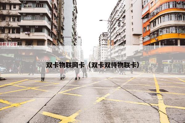 双卡物联网卡（双卡双待物联卡）