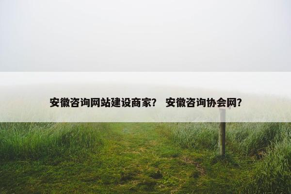 安徽咨询网站建设商家？ 安徽咨询协会网？