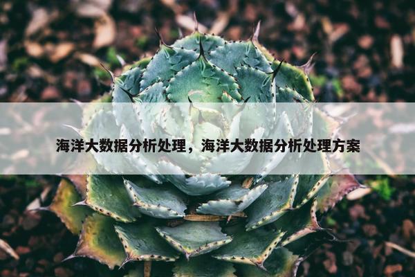 海洋大数据分析处理，海洋大数据分析处理方案
