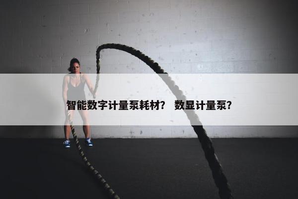 智能数字计量泵耗材？ 数显计量泵？