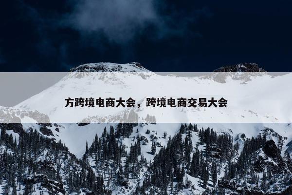 方跨境电商大会，跨境电商交易大会