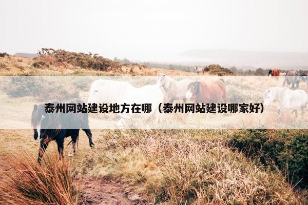 泰州网站建设地方在哪（泰州网站建设哪家好）