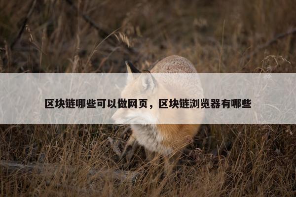 区块链哪些可以做网页，区块链浏览器有哪些