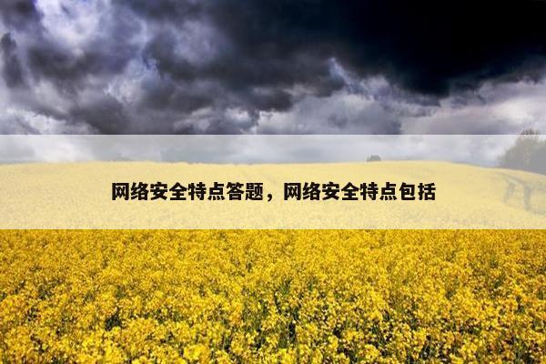 网络安全特点答题，网络安全特点包括