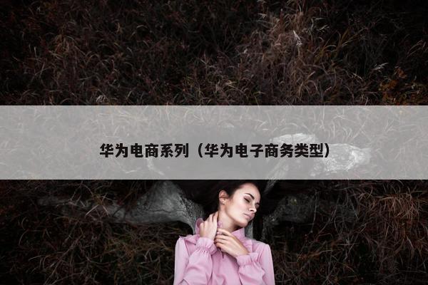 华为电商系列（华为电子商务类型）