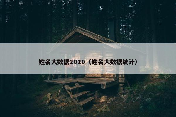 姓名大数据2020（姓名大数据统计）
