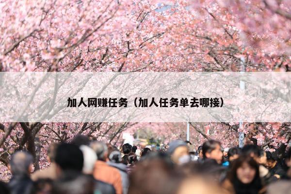 加人网赚任务（加人任务单去哪接）