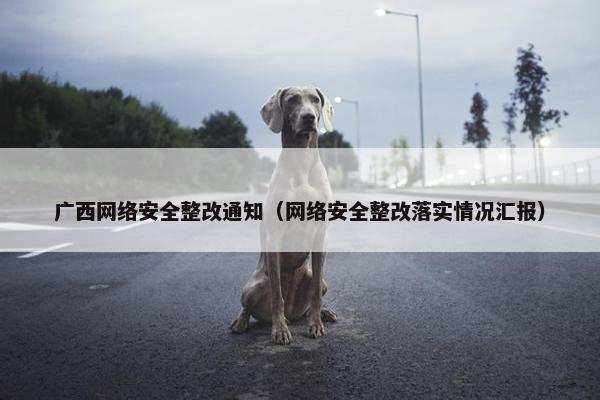 广西网络安全整改通知（网络安全整改落实情况汇报）
